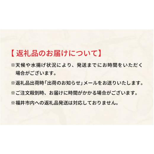 ふるさと納税 福井県 福井市 期間限定 茹でせいこ蟹 1杯  [A-065011]