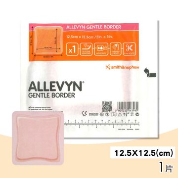 【史耐輝】矽膠愛力膚敷料(12.5 x12.5CM) 1片(人工皮)