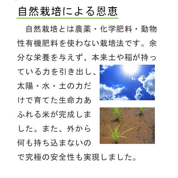 令和5年産　コシヒカリ　自然栽培　無農薬　無肥料　天日干し　玄米10kg