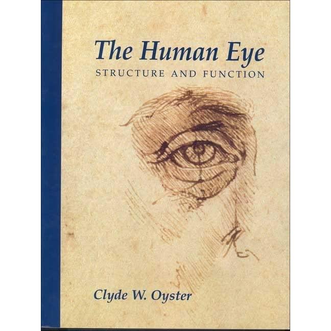 The Human Eye: Structure and Function