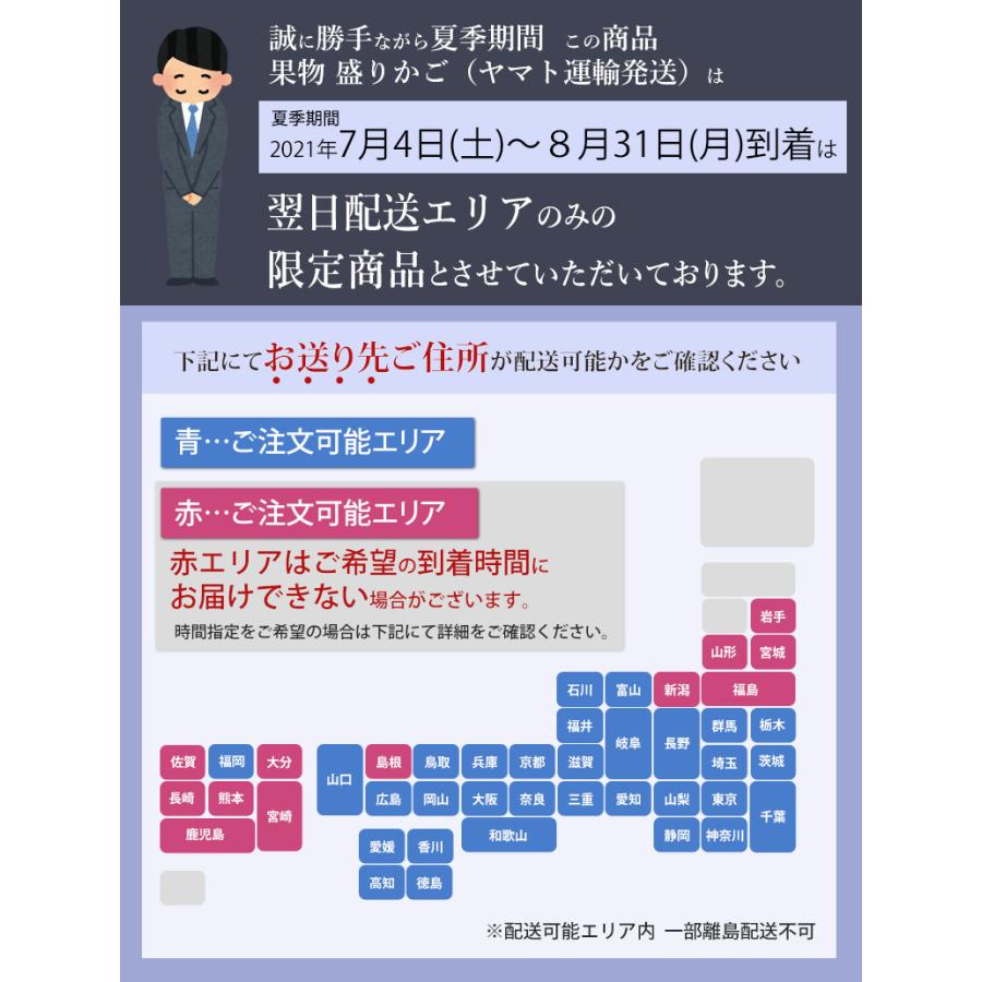 果物 盛りカゴ(※静岡メロンは入らない盛カゴです) お供え お忌 法事 御霊前 法要 御仏前 詰め合わせ くだもの