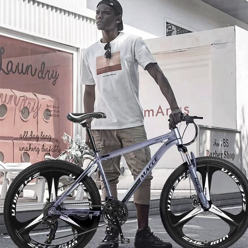 LAND MASTER マウンテンバイク シルバー マウンテンバイク 26インチ 自転車 26×1.95 シルバー 21段変速