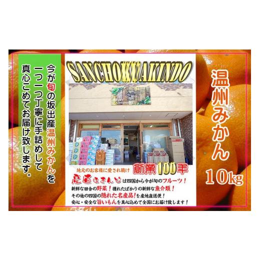 ふるさと納税 香川県 坂出市 温州みかん 香川産 約10kg S 〜 Lサイズ ｜ みかん 味濃い