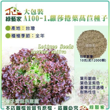 【綠藝家】大包裝A100-1.蘿莎捲葉萵苣種子10克(約12000顆)葉形皺曲，葉色呈紫色。 葉菜類大包裝