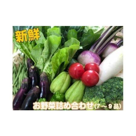 ふるさと納税 野菜 7〜9品目程度 セット 詰め合わせ 季節 新鮮 産地直送 高知県 須崎市 高知県須崎市