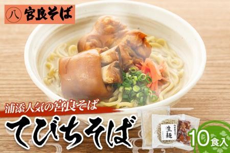 浦添人気の宮良そばのてびちそば10食入り