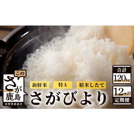 ふるさと納税 佐賀県 鹿島市 S-6佐賀県鹿島市産さがびより 白米１０kg定期便（１２か月お届け）