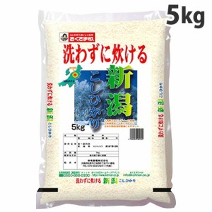 おくさま印 無洗米 新潟県産こしひかり 5kg