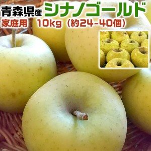 青森りんご シナノゴールド 家庭用 10kg 林檎予約品：10月下旬～収穫次第順次・出荷開始