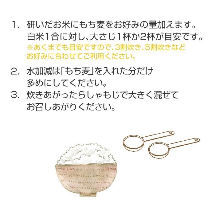 もち麦 もちむぎ 900g 無農薬 無肥料 自然栽培 ダイシモチ 宮崎県産 食物繊維