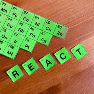 Build Your First React Website