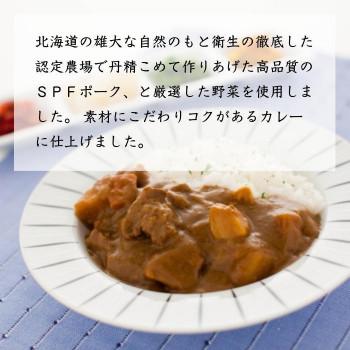 五島軒 究極の函館カレー 210g ×48食セット (軽減税率対象)