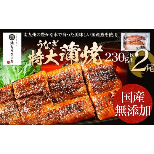 ふるさと納税 福岡県 大木町 うなぎの特大蒲焼（2尾）230g以上×2尾　AE04