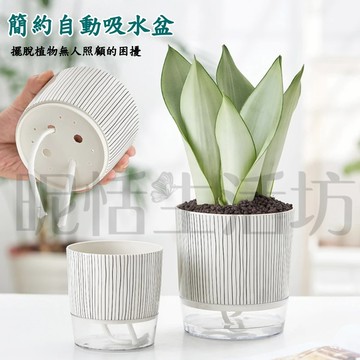 【現貨】簡約自動吸水花盆/吸水花盆/花盆/花盆/懶人盆栽/塑膠花盆/綠植/水耕/水培花盆/簡約花盆/塑膠花盆/多肉花盆