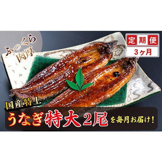 ふるさと納税 福井県 越前市 国産！特上うなぎのかば焼き 約250g × 2尾 × 3回お届け （毎月お届け）