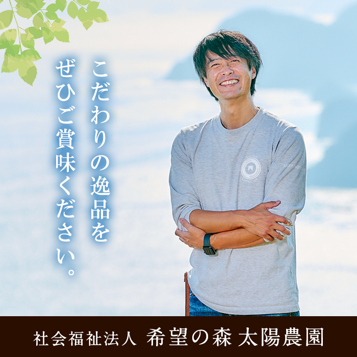 ＜訳あり＞ (おまかせ10袋) 千本桜 で燻した 燻製ナッツ 詰め合わせ セット 燻製 ナッツ 透明真空パック ミックスナッツ ピーナッツ 加工品 加工食品 おつまみ おやつ 大分県 佐伯市 防災