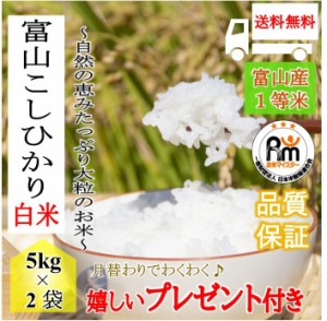 新米 お米  富山県産 コシヒカリ 10kg 白米5kg×2袋 令和5年産 嬉しいプレゼント付き 送料無料