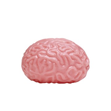 賽先生科學工廠 標本大腦擠壓發洩球