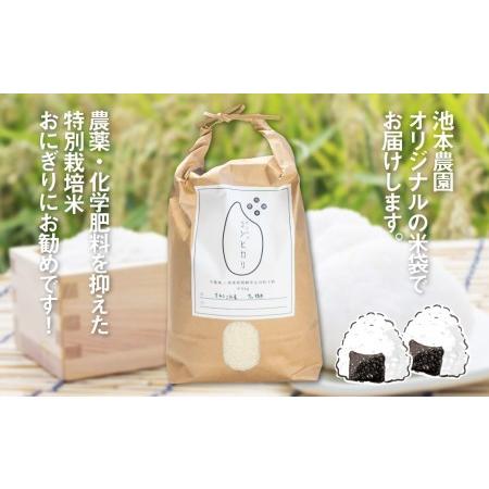 ふるさと納税 《先行予約》令和4年産 こしひかり 新米 5kg×6か月 定期便 合計30kg 特別栽培米 若手農家のこだわりのお米 池本農園 6回［Q10.. 岐阜県飛騨市