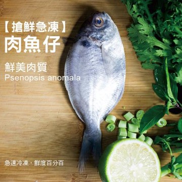 好神-鮮凍優質肉魚- 買11送11-共22尾