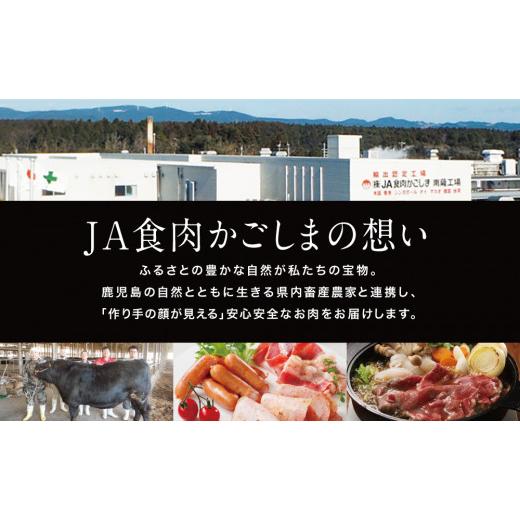 ふるさと納税 鹿児島県 南さつま市 5等級 鹿児島黒牛サーロインステーキ 4枚 牛肉 冷凍 ステーキ バーベキュー BBQ JA食肉かごしま 南さつま市