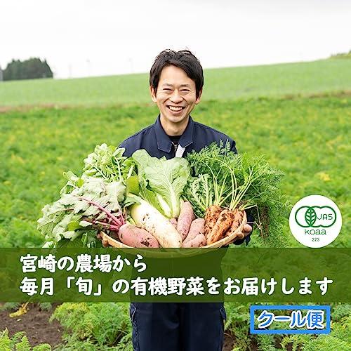 宮崎県産のお手軽オーガニック野菜セット