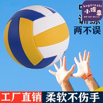 【中考體育專用】排球 5號排球 軟式排球 硬排 比賽排球 訓練排球 耐磨防滑 源頭工廠直髮 中小學生訓練考試專用