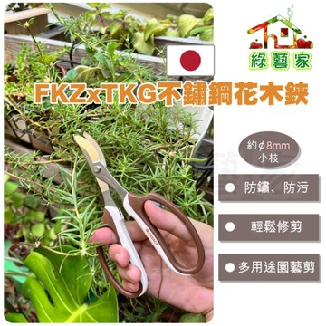【綠藝家】日本製FKZxTKG不鏽鋼花木鋏 剪定鋏 修剪花木枝條、莖專用 剪枝徑約8MM 刃部不锈鋼WR-2材