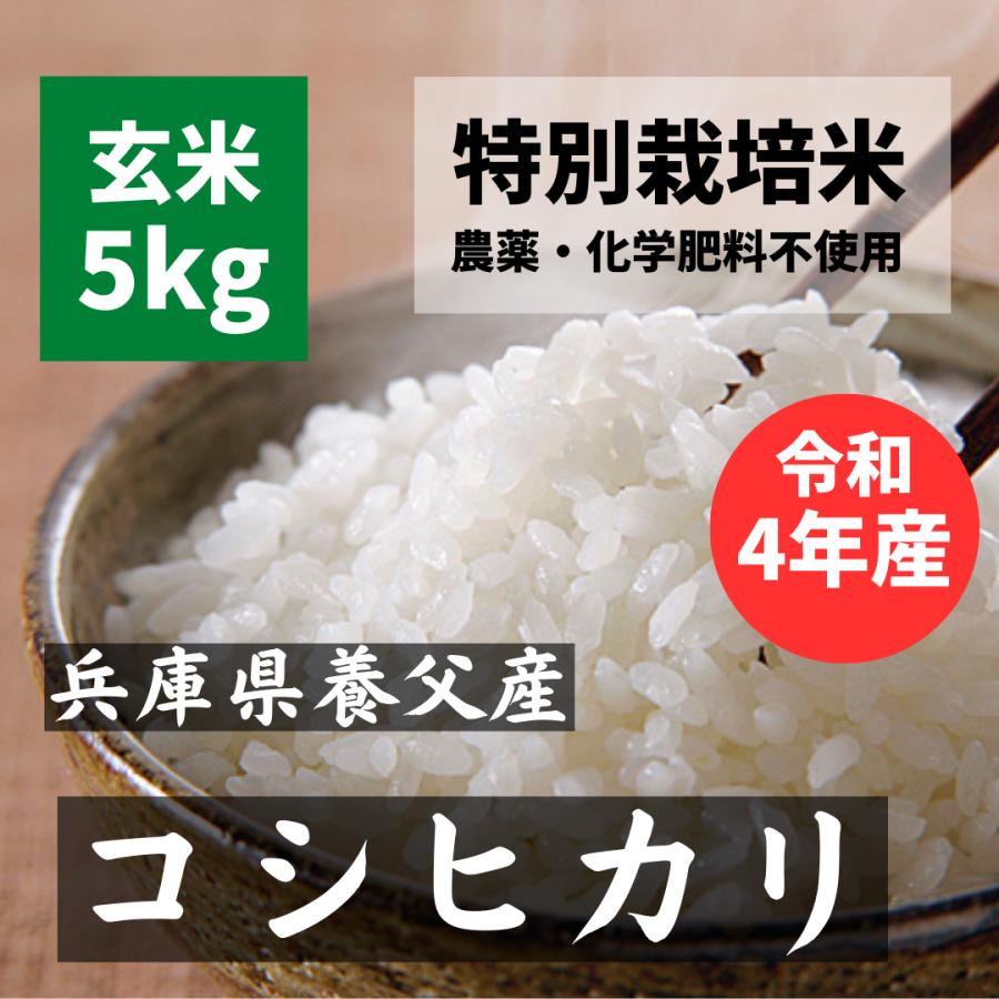 令和5年 兵庫県丹波産 農薬、除草剤不使用 新米コシヒカリ10キロ - 米