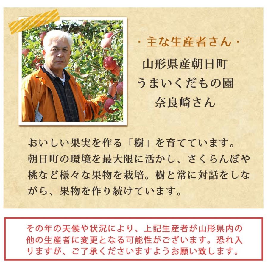 フルーツ りんご 10kg 大玉 贈答用 約36玉 ふじりんご 12月発送予定 山形県産 送料無料 蜜入り