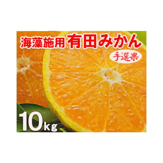 ふるさと納税 和歌山県 広川町 海藻施用有田みかん 手選果 10kg※2023年11月上旬〜2024年1月中旬頃に順次発送予定※着日指定不可 ≪ 有田 みかん ミカン 蜜柑 …