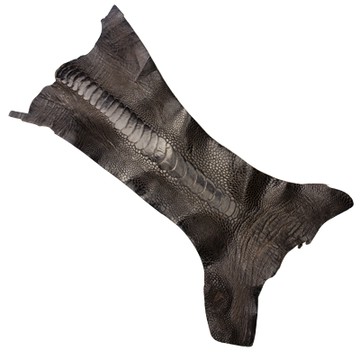 IVAN 鴕鳥腳皮 / 咖啡色 99912-03