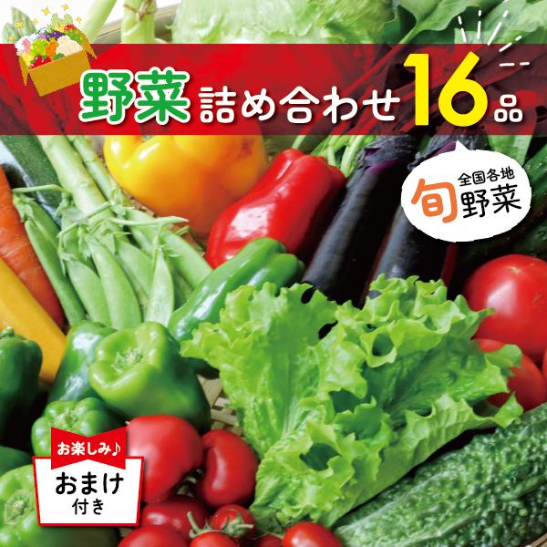 ｜送料無料｜１6品 おまけ付き 野菜詰め合わせ ｜ 野菜セット 詰め合わせ 新潟 旬 野菜 フルーツ