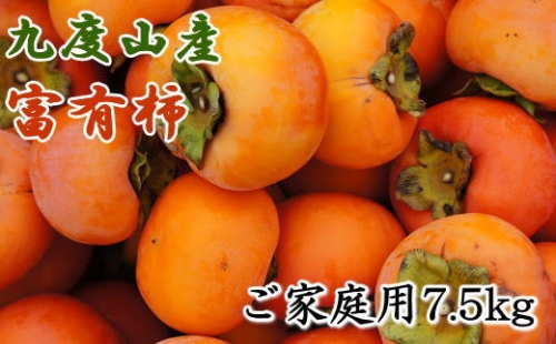 ≪柿の名産地≫九度山の富有柿約7.5kgご家庭用