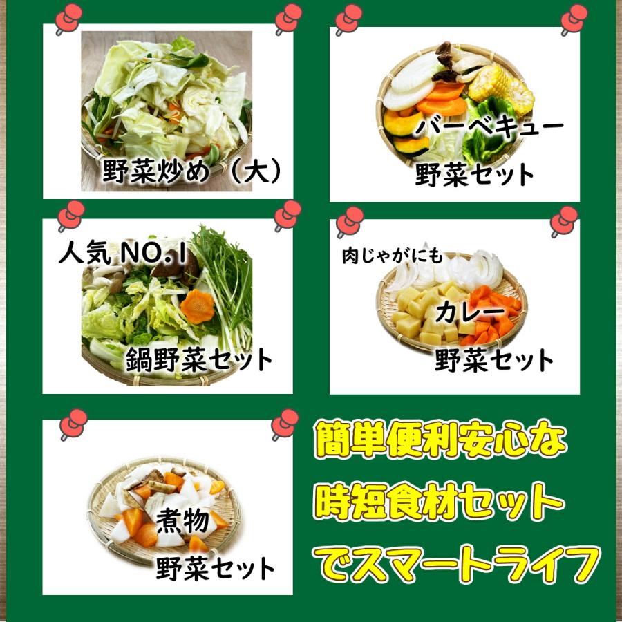 便利野菜九州野菜は3〜5品 送料無料 カット野菜