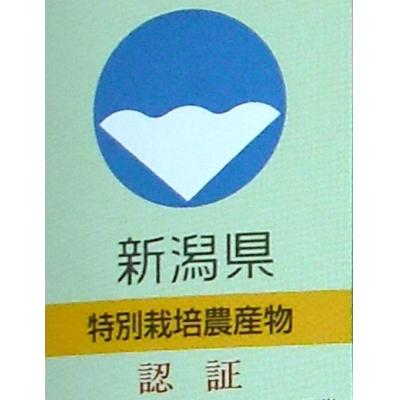 ふるさと納税 阿賀野市 新潟県認証!特別栽培米 コシヒカリ 10kg