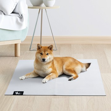 【瑪思特】寵物隔尿墊 寵物地墊 60x40cm 銀灰