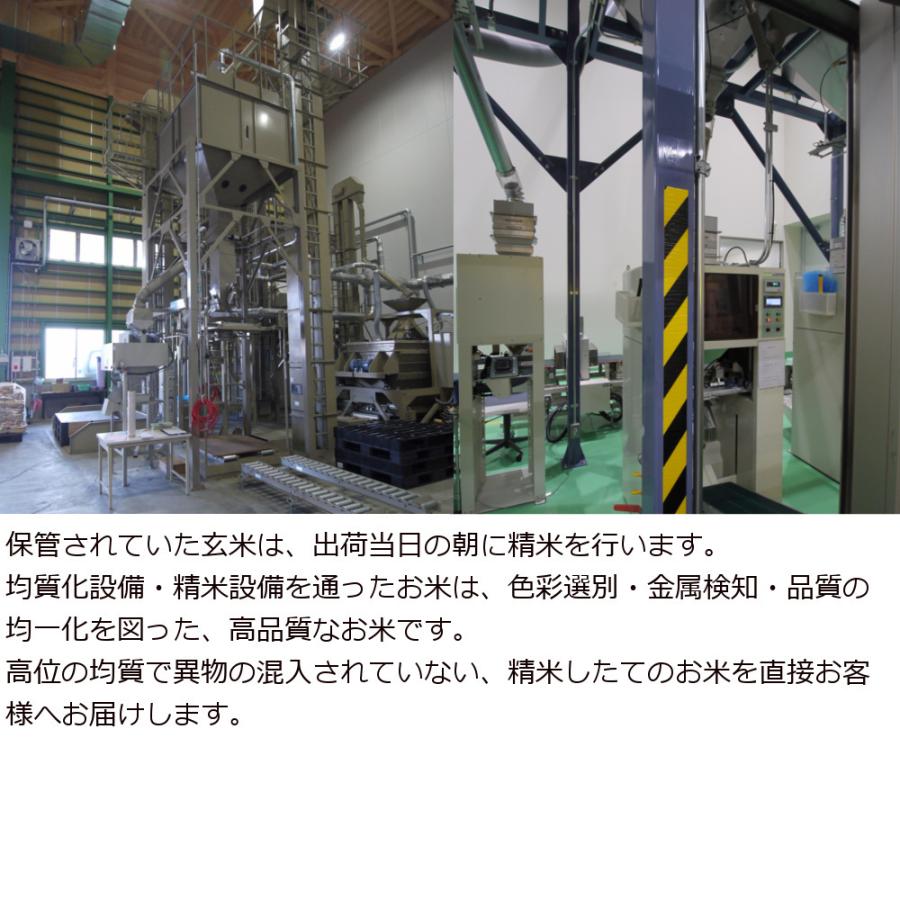 新潟県 十日町市産 魚沼コシヒカリ 米屋五郎兵衛 棚田米 令和5年産 精米 10kg