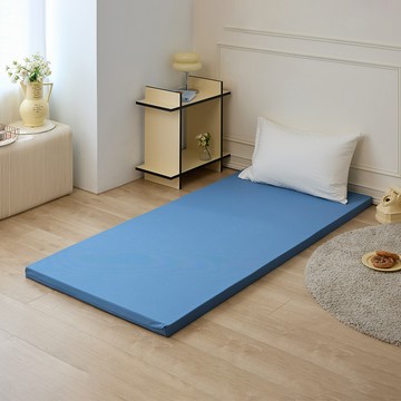 JINDACHI 金大器 輕量化支撐記憶綿床墊  靛藍  單人加大  5cm