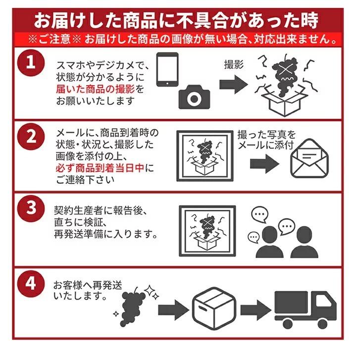 ぶどう 秀品 シャインマスカット 1房 (約600g前後) 山形県産 ギフト 贈答 プレゼント 化粧箱 贈り物 大粒 産地直送 (遠方送料加算)