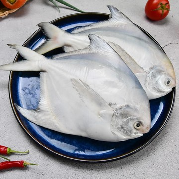 凍凍鮮免運鮮凍野生白鯧 350g-400g/尾