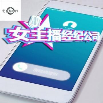元氣招財 電腦玩 女主播經紀公司 中文版 PC電腦單機遊戲光盤 光碟
