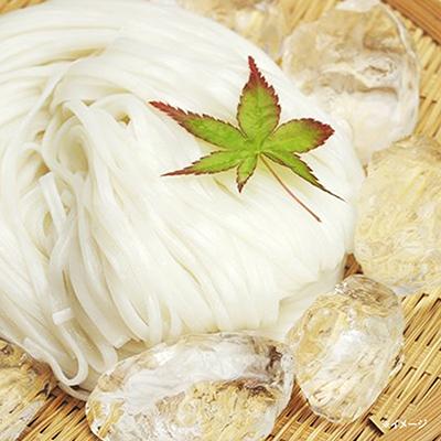 稲庭うどん つゆ付き 10人前 誕生日 プレゼント ギフト 母の日 父の日 敬老の日 お中元 お歳暮 内祝 お年賀 ご当地グルメ お取り寄せ うどん好き