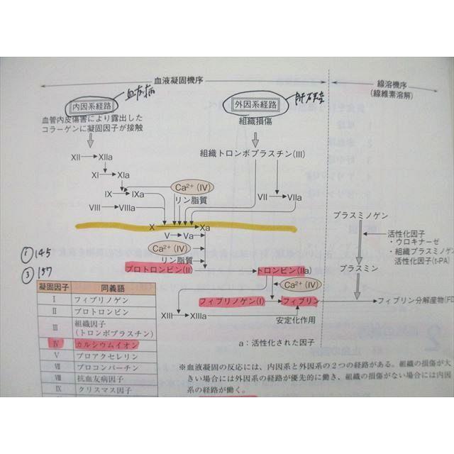 UG26-017 東京アカデミー オープンセサミシリーズ 看護学1〜5成人看護学 健康支援と社会保障制度等 2022 5冊 67 R3D