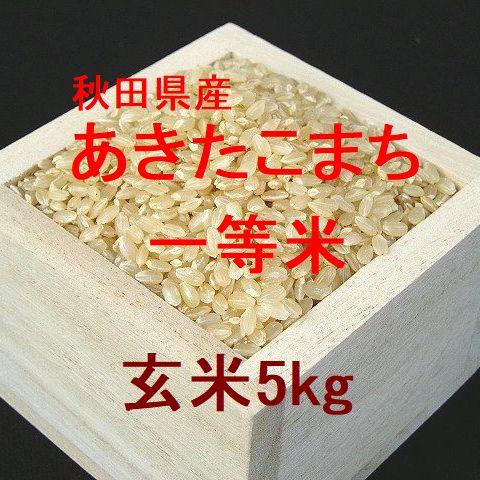 秋田県産あきたこまち 一等米 玄米5kg （令和4年産）