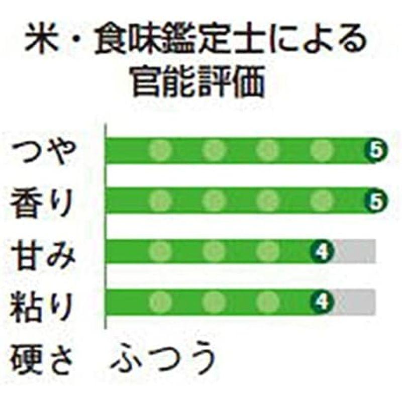 精米新潟県産 新之助 5? 令和4年産