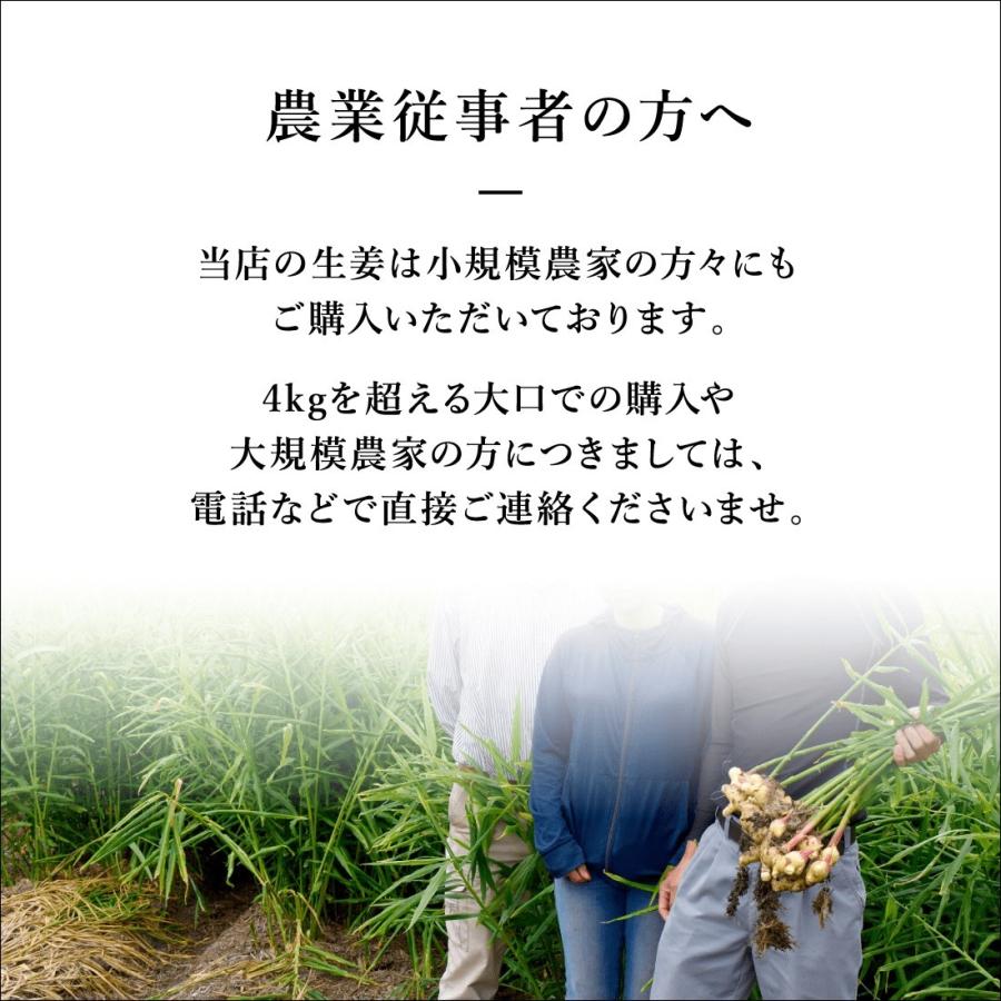 種生姜 熊本県産 無農薬生姜 2kg 送料無料 国産 生姜 しょうが 栽培 家庭菜園 たね生姜 生姜の種 種芋