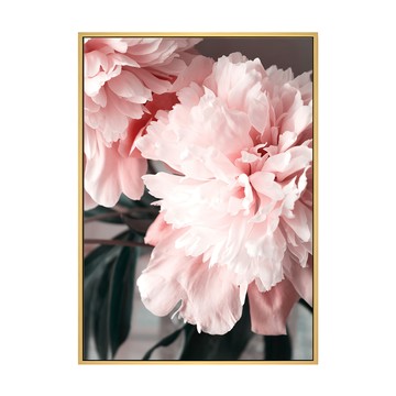 有框畫 花開富貴 牡丹I  70 x 50cm  牡丹 粉色