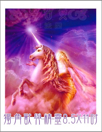 獨角獸與精靈 Fairy and Unicorns【8.5*11吋美國進口正版作品】- 精靈與其他系列畫
