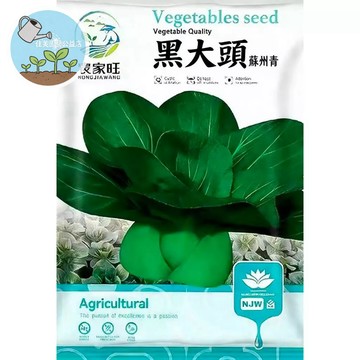【原廠包裝】黑大頭蘇州青種子 快收青菜 耐熱耐寒 台灣四季可種 新手友善 家庭菜園 陽台盆栽 清脆鮮甜 不打農藥